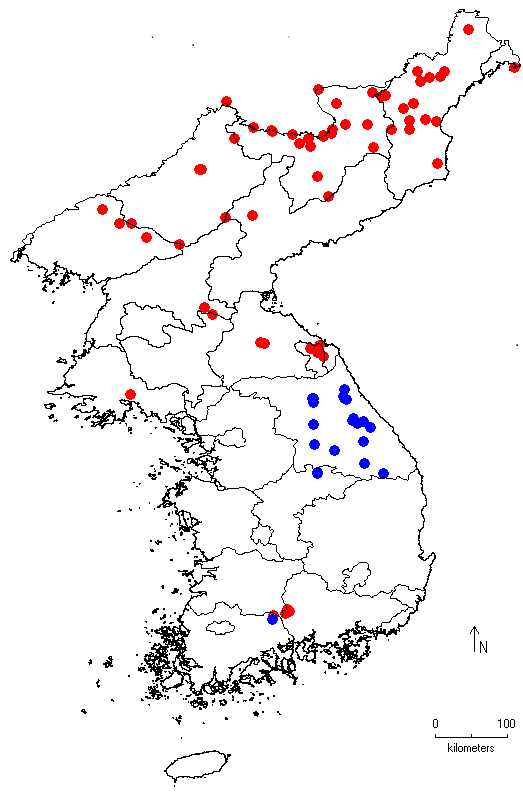 Acer tegmentosum image