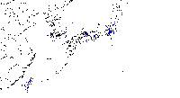 Kalopanax septemlobus image