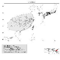 Litsea coreana image