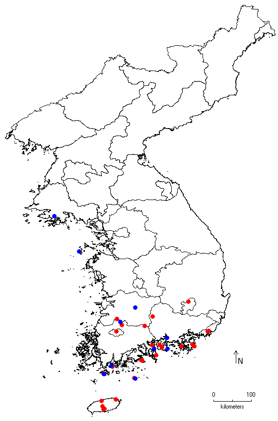 Chionanthus retusus image