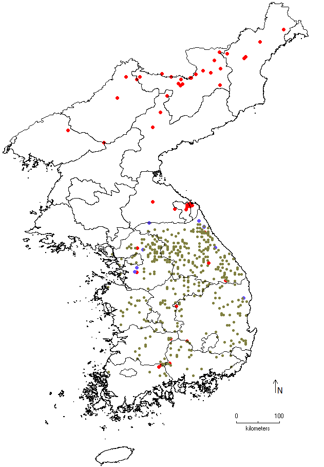 Pinus koraiensis image