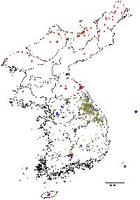 Tilia amurensis image