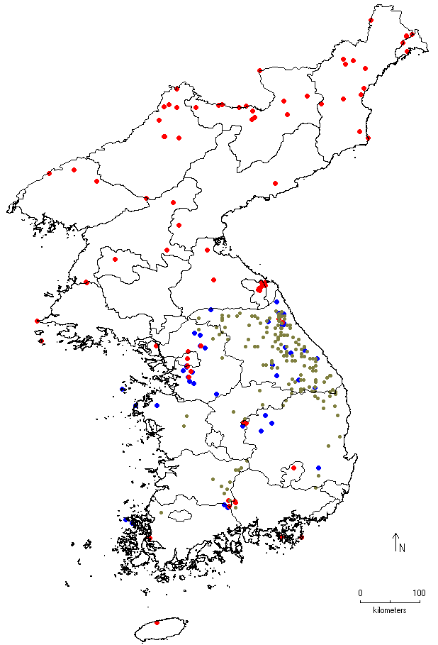 Tilia mandshurica image