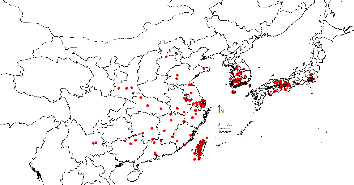 Ulmus parvifolia image